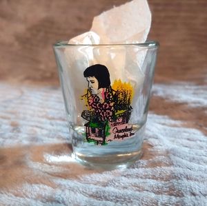 Unique vintage Graceland shotglass